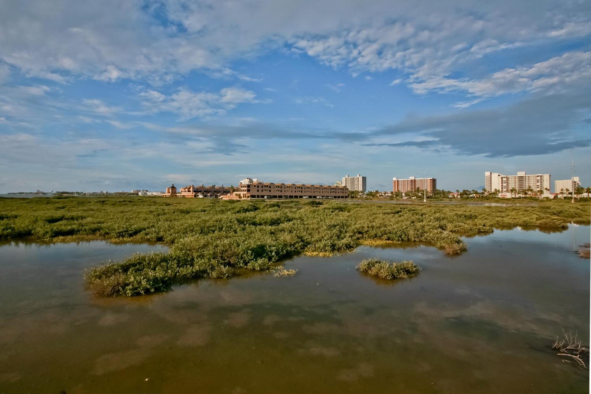 Suntide III Condominiums Pulau Padre Selatan Ruang foto
